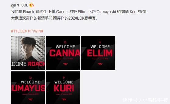 灰熊队在近 灰熊队在近